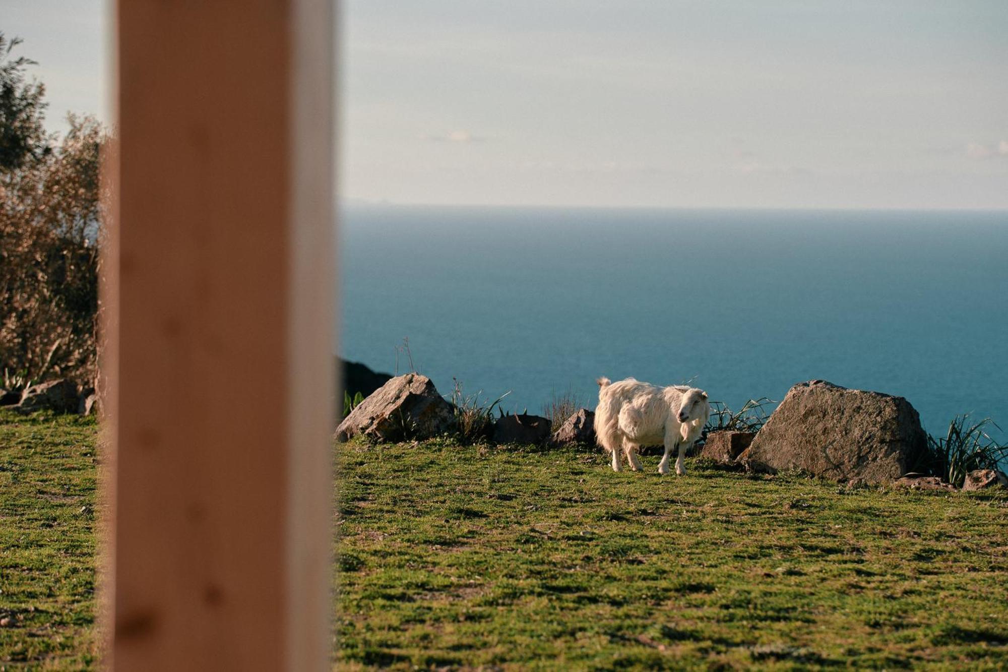 New Suites Sea View Sardinia, 카스텔사르도 외부 사진